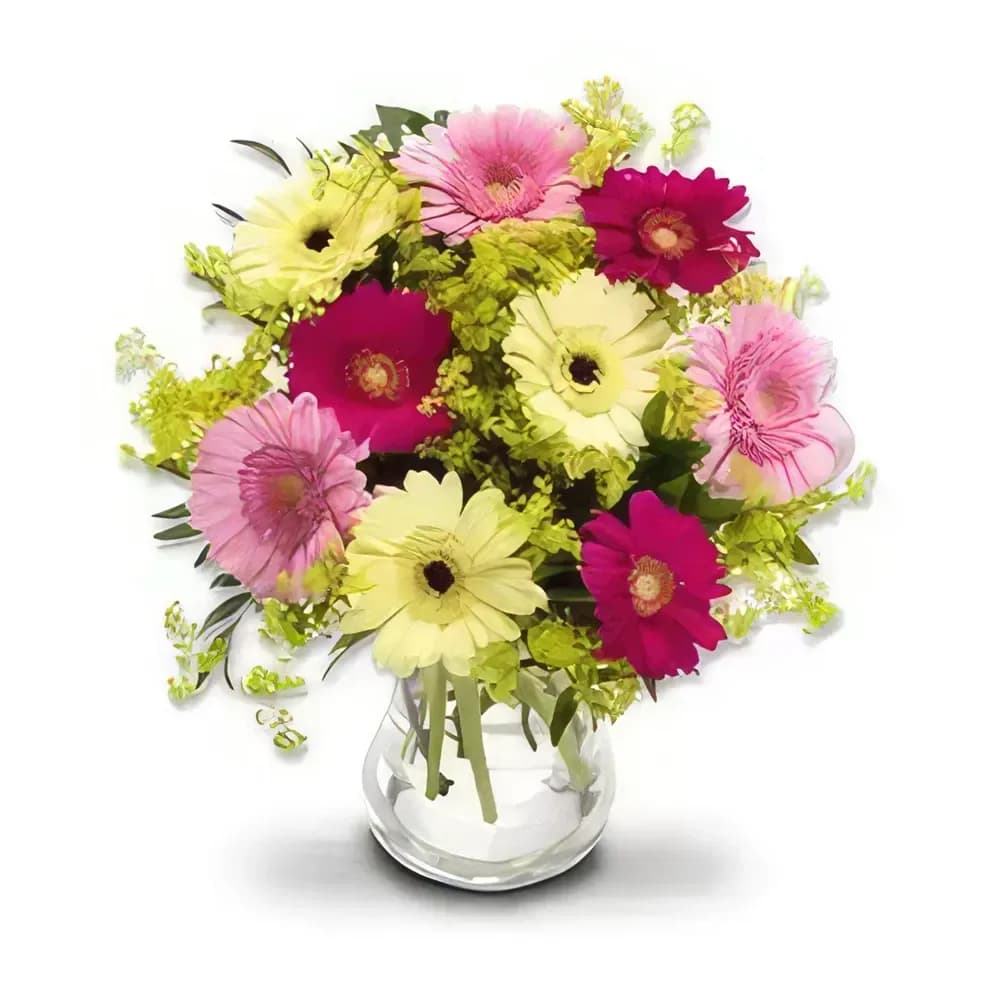 Mix gerbera — Bukett