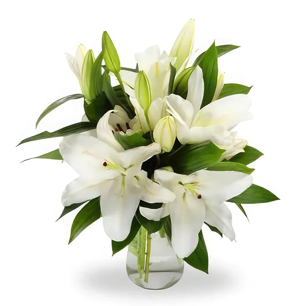 Elegant white lily — Bukett